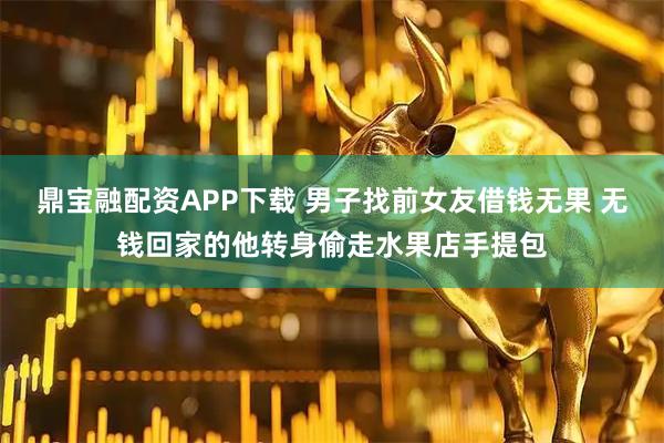 鼎宝融配资APP下载 男子找前女友借钱无果 无钱回家的他转身偷走水果店手提包
