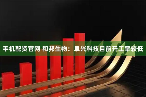 手机配资官网 和邦生物：阜兴科技目前开工率较低