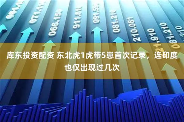 库东投资配资 东北虎1虎带5崽首次记录，连印度也仅出现过几次