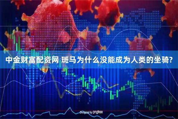 中金财富配资网 斑马为什么没能成为人类的坐骑?