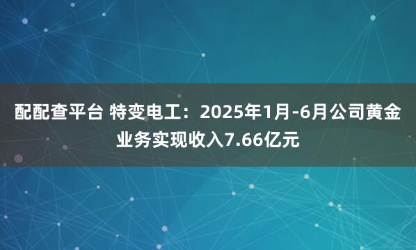 配配查平台 特变电工：2025年1月-6月公司黄金业务实现收入7.66亿元