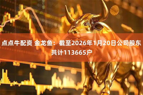 点点牛配资 金龙鱼：截至2026年1月20日公司股东共计113665户