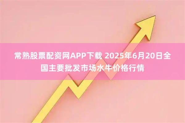 常熟股票配资网APP下载 2025年6月20日全国主要批发市场水牛价格行情