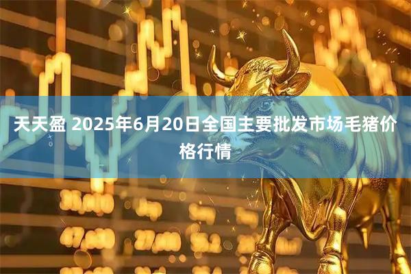 天天盈 2025年6月20日全国主要批发市场毛猪价格行情