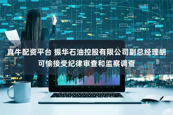 真牛配资平台 振华石油控股有限公司副总经理胡可愉接受纪律审查和监察调查